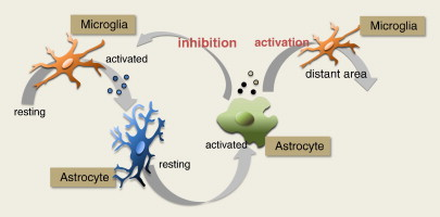 graphical abstract - example for abstract submission